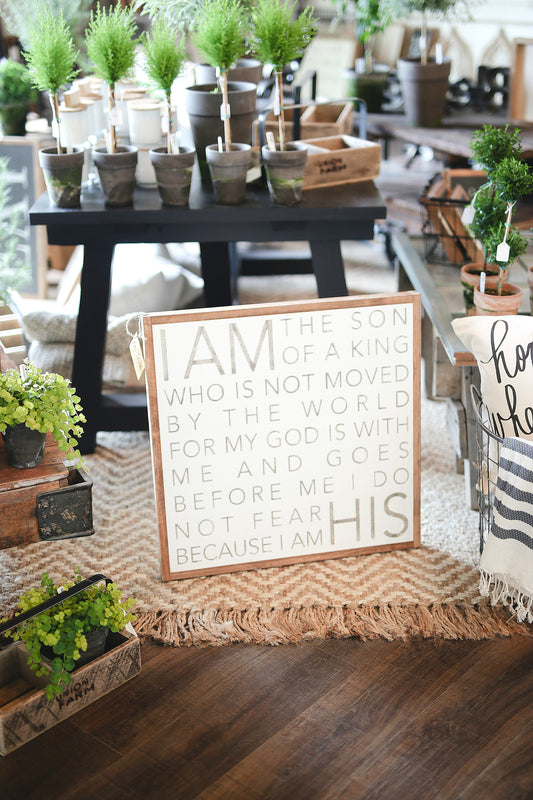 I Am The Son Of A King