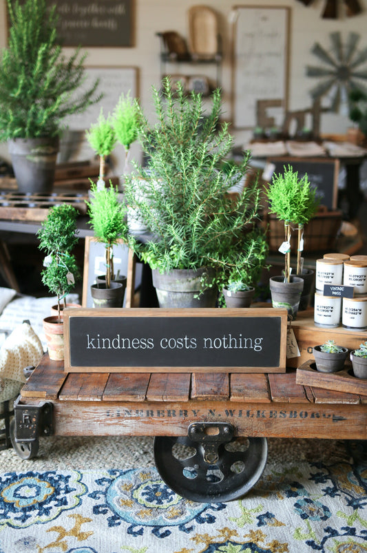 Kindness Costs Nothing