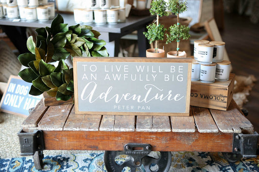 To Live Will Be An Awfully Big Adventure Peter Pan Framed Wood Sign Nursery decor Kids room decor